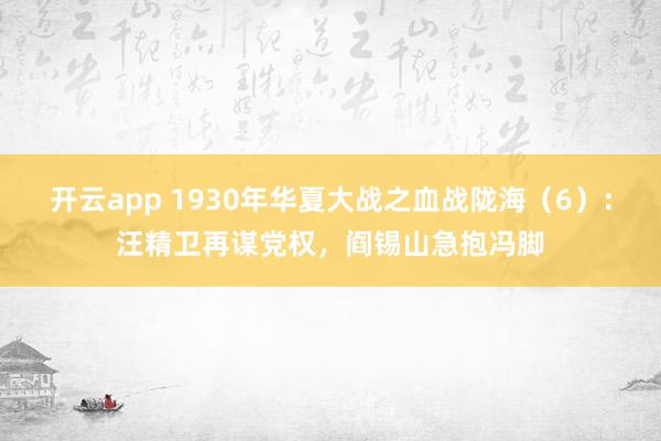 开云app 1930年华夏大战之血战陇海（6）：汪精卫再谋党权，阎锡山急抱冯脚