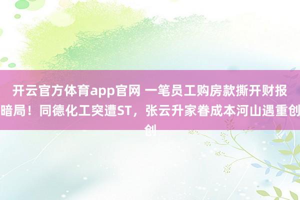 开云官方体育app官网 一笔员工购房款撕开财报暗局！同德化工突遭ST，张云升家眷成本河山遇重创